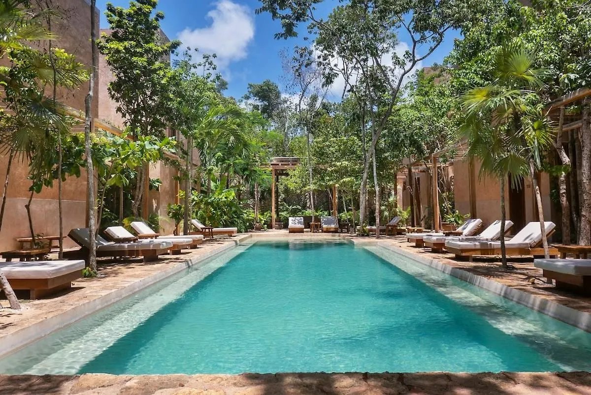 Σπίτι διακοπών Woody, Boho Home 3Br, Gated Community, Rooftop Τουλούμ